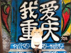 -黄桷坪涂鸦艺术街