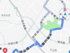 -新湖烧鸡(光明店)