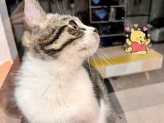 -蓝天射箭馆·专业射箭运动(诚丰广场店)