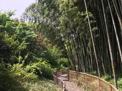-汇龙潭