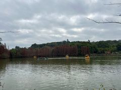 -星湖旅游景区七星岩