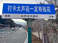 -大芦花风景区