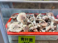 -菌海森林·非遗野生菌火锅(西山区滇池路摩根道店)