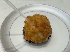 -丁老爷子苏香圆