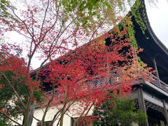 -杭州西子湖四季酒店-WL BISTRO西湖餐厅(灵隐路店)