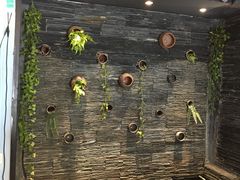 -一只烧鸡公(解放碑店)