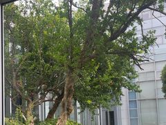 -奔驰上海利星(七宝店)