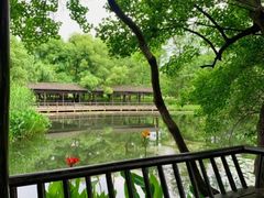 -东湖落雁景区