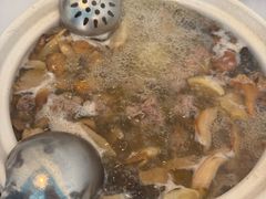 -蘑统田下·野生菌火锅