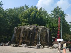 -合肥滨湖国家森林公园