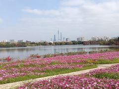 -海珠湖公园