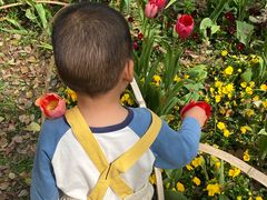 -麦当劳(无锡滨湖万达店)