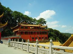 -东莞市大岭山森林公园