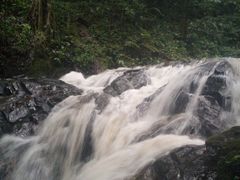 -莫里热带雨林景区