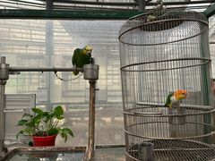 -厦门园林博览苑
