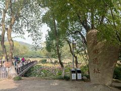 -八卦田遗址公园