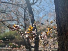 -元大都城垣遗址公园