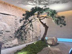 -新荣记(建国门外大街店)