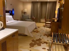 -惠州康帝国际酒店