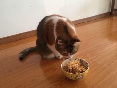 -丁里羊肉小镇(天鹅湖总店)