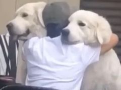 -蜜雪冰城(一中店)