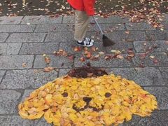 -上海植物园·停车场