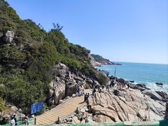 -广东惠东海龟国家级自然保护区