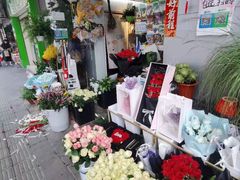 -溪岸路花鸟市场
