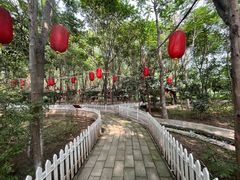 -草根堂农场
