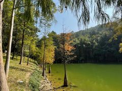 -广州市白云山风景名胜区