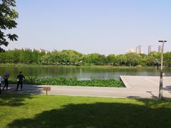 -尚贤河湿地