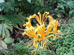 -共青国家森林公园-售票处