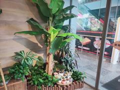 -火塘云南烧烤大排档