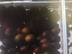 -珠海棕泉水疗酒店(拱北口岸高铁站店)