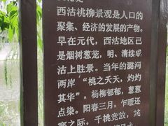 -桃花堤公园