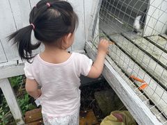 -宁波九龙湖开元度假村