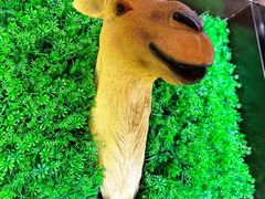 -彩虹之约•淮扬家宴(亚运村店)