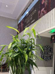 -爱儿美儿童摄影(五路居花园别墅店)