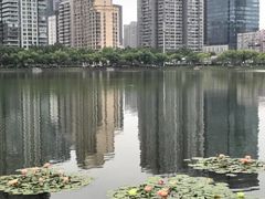 -西北湖绿化广场
