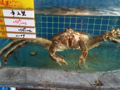 -骏莱海鲜鱼港(五角场店)