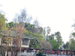 -荔湾湖公园
