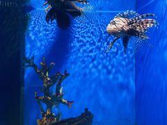-福州罗源湾海洋世界旅游区