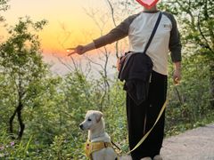 -紫金山山顶公园