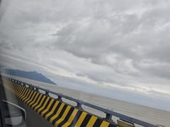 -杨记杏仁茶(椰园店)