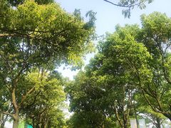 -东钱湖旅游度假区