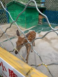 -萌宠亲子动物乐园(槐房万达店)