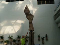 -自贡恐龙博物馆