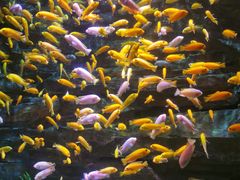 -多彩贵州城极地海洋世界