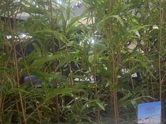 -同湘会馆(粤垦路店)