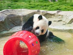 -泉城欧乐堡梦幻世界